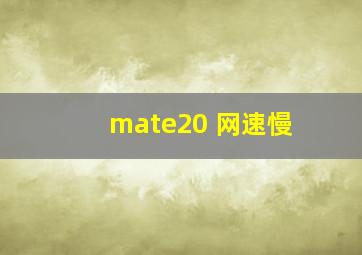 mate20 网速慢